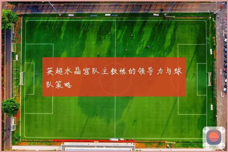 英超水晶宫队主教练的领导力与球队策略