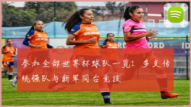 参加全部世界杯球队一览：多支传统强队与新军同台竞技