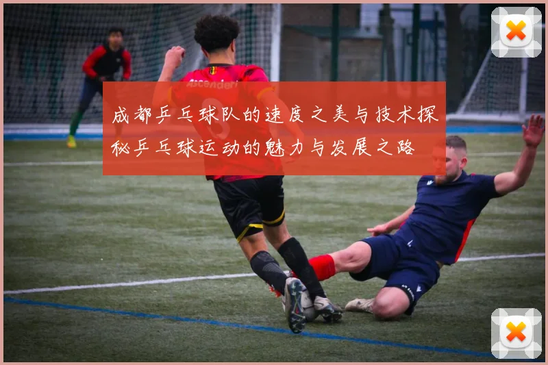 成都乒乓球队的速度之美与技术探秘乒乓球运动的魅力与发展之路